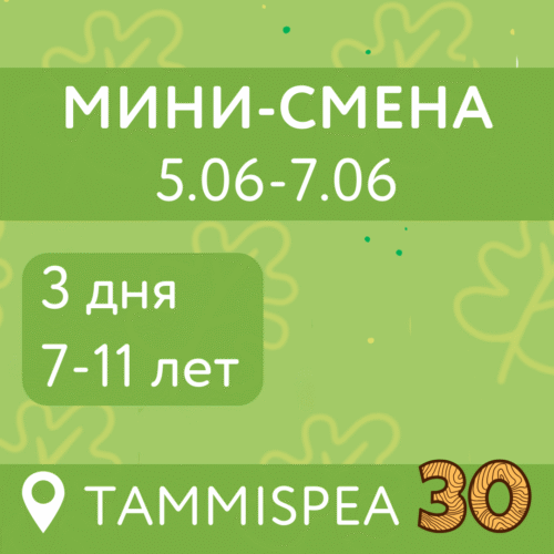 Мини-смена (5.06-7.06)