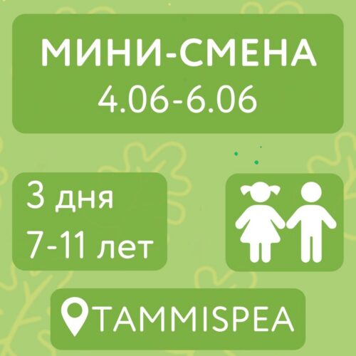 Мини-смена (4.06-6.06)