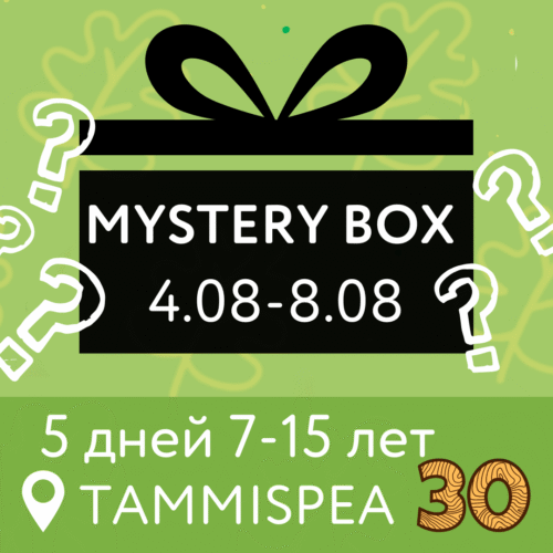 Mystery Box (4.08-8.08)