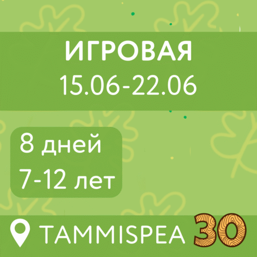 Игровая (15.06-22.06)