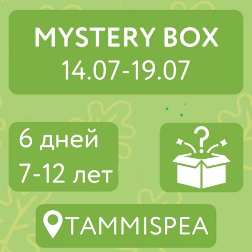 Mystery Box (14.07-19.07)