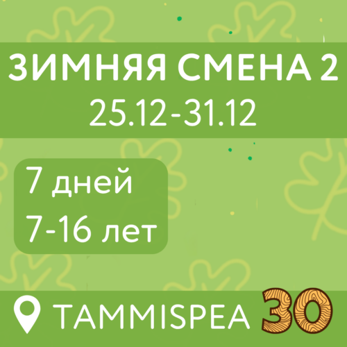 Конец года (25.12-31.12)